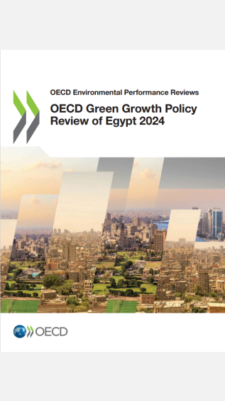 OECD-Egypt