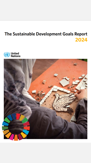 SDGs Report