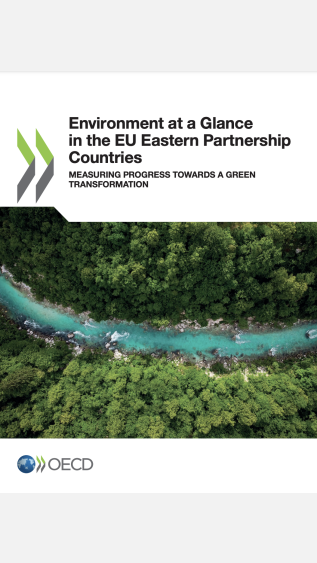 Environment at a glance