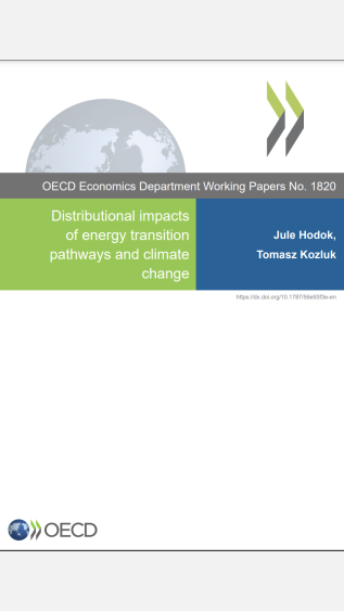 Distributional impacts of energy transition