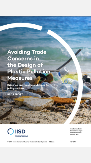 International Institute for Sustainable Development