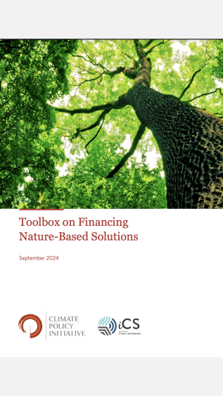 Nature based solutions