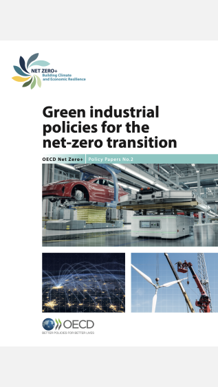 Green Industrial Policies