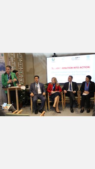 GGGI at COP29: Inspiring Climate Action for the Aral Sea Region 
