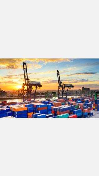 Custom codes to facilitate implementation of the Basel, Rotterdam and Stockholm Conventions