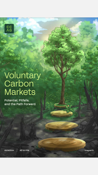 Voluntary Carbon Markets