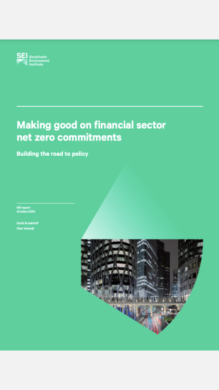 Making good on financial sector