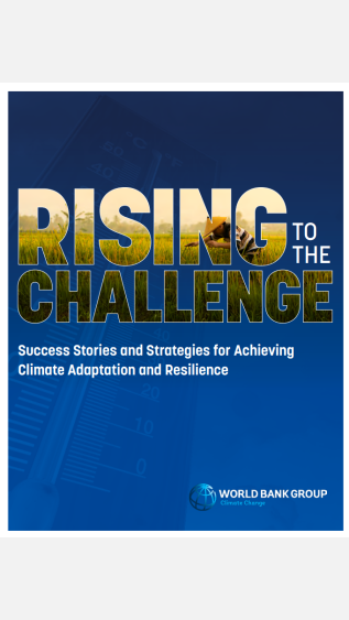 Rising to the Challenge