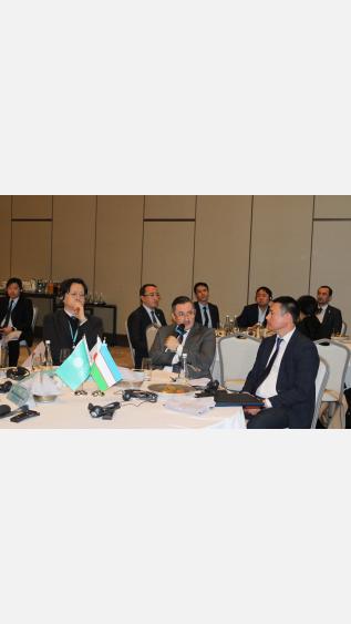 Leveraging Sustainable Finance for Upscaling Green Impact in Uzbekistan: KOICA celebrates Aral Sea GRIP achievements 