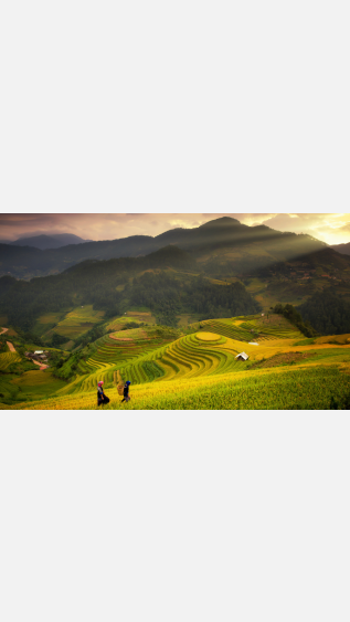 Terraced mountain field with two people in the foreground