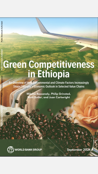 Green Competitveness