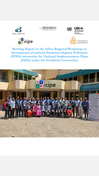 Meeting Report on the Africa Regional Workshop on development of national Persistent Organic Pollutants (POPs) inventories for National Implementation Plans (NIPs) under the Stockholm Convention