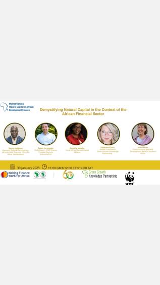 Webinar flyer with details of timing