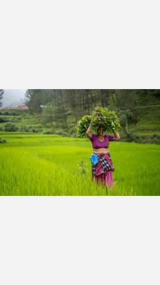Supporting local farmers' markets, independent grocery stores and ethical brands helps SMEs stay competitive. 