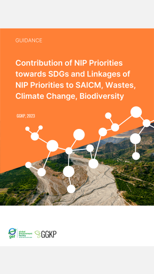 Contribution of NIP priorities toward SDGs
