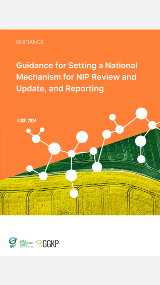 Guidance for Setting a National Mechanism for NIP Review and Update and Reporting