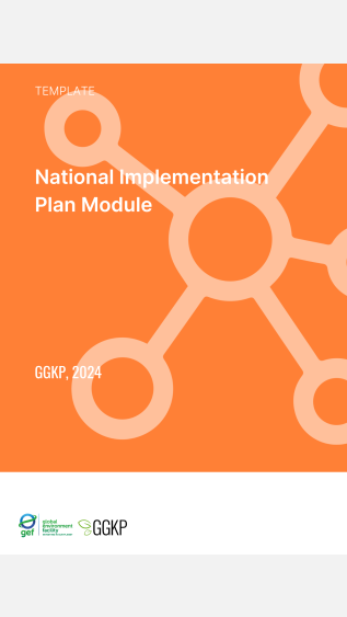 National Implementation Plan Module
