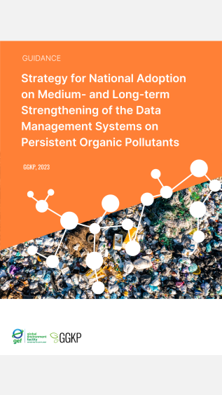 Strategy for National Adoption on Medium- and Long-term Strengthening of the Data Management Systems on Persistent Organic Pollutants