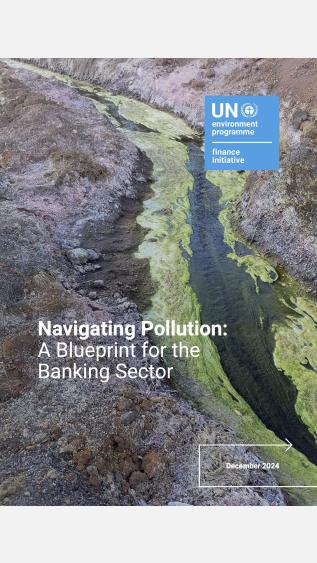 White-Paper-on-Pollution-UNEP-FI