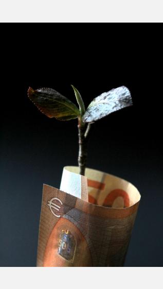 NIP Priority Setting and Financing_cover