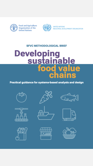 Developing sustainable food value chains