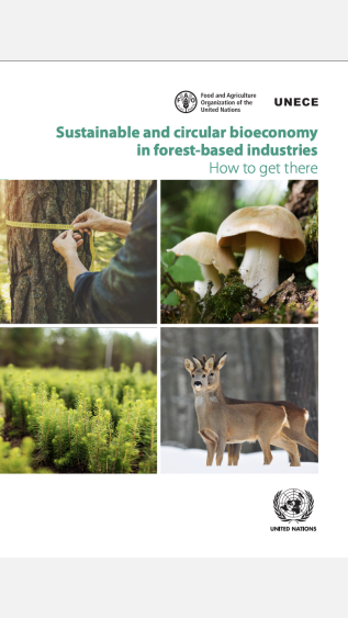 Sustainable and circular bioeconomy 