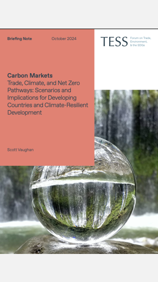 Carbon Markets