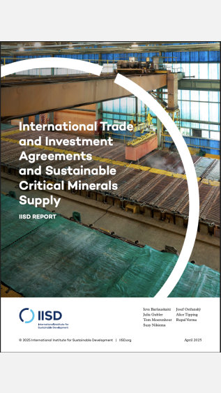 Sustainable critical minerals