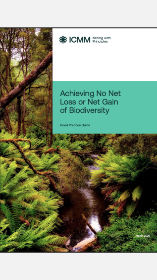 Achieving No Net Loss
