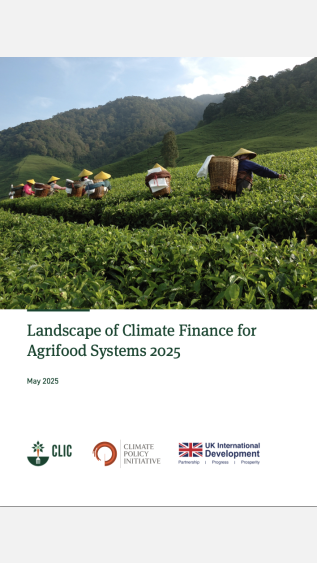 Landscape of Climate Finance