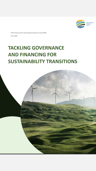 Tackling Governance and Financing for Sustainability 
