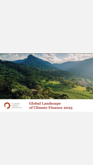 Global Landscape of climate Finance 