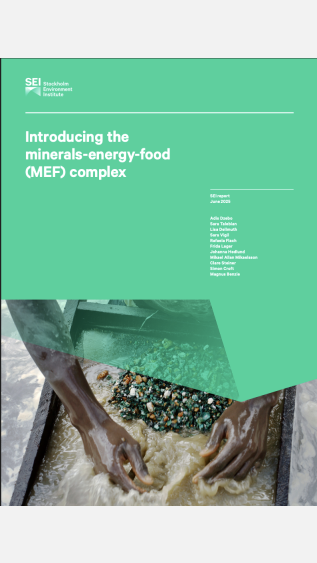 Introducing the minerals