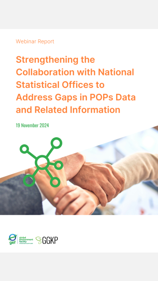 Webinar Report_National Statistical Offices_2024Nov19