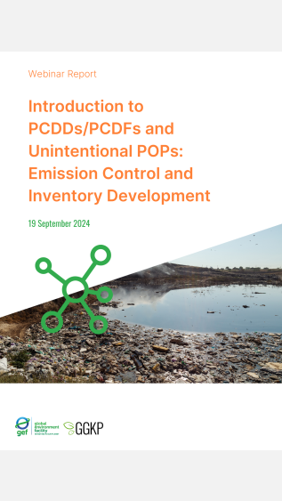 Webinar Report_PCDDsPCDFs&UPOPs_2024Sep19