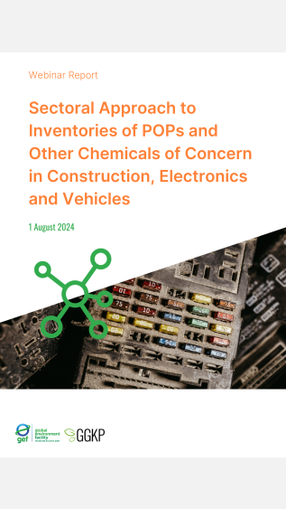 Webinar Report_POPs Inventories_2024Aug01