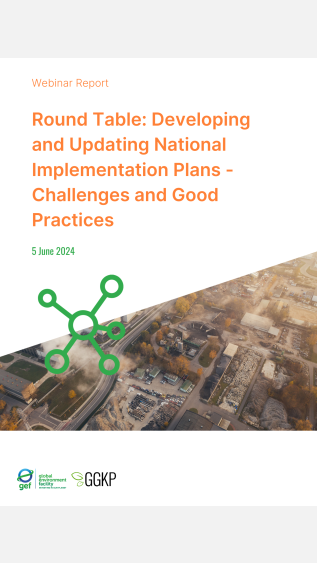 Webinar Report_Round Table_2024Jun05