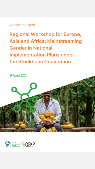Regional Workshop for Europe, Asia and Africa Mainstreaming Gender in National Implementation Plans under the Stockholm Convention