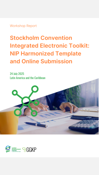 Workshop Report_SC Integrated Toolkit (LAC)