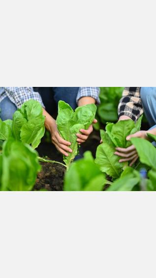 From Innovation to Adoption: Financing the Growth of the Biocontrol Industry