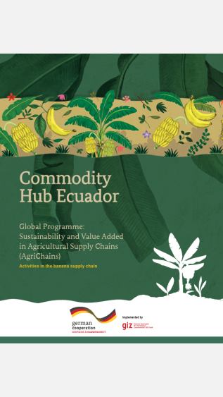 Commodity Hub Ecuador