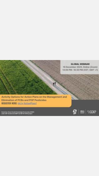 Activity Options for Action Plans on the Management and Elimination of PCBs and POP Pesticides