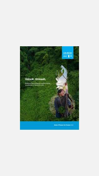 UNEP Unlock forests cover