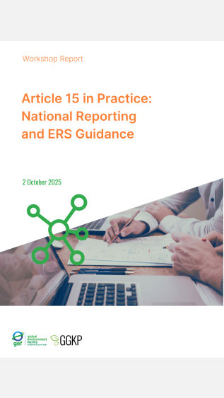 Workshop Report_Article 15