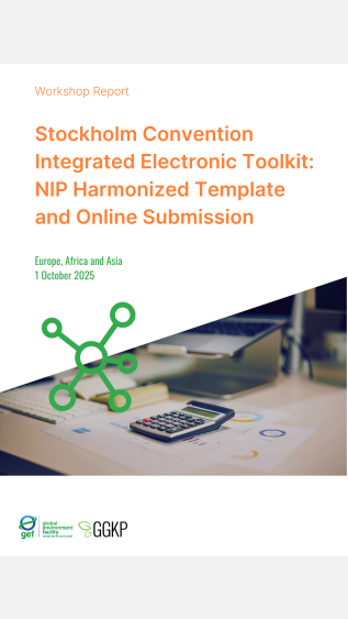 Workshop Report_SC Integrated Toolkit (EAA)