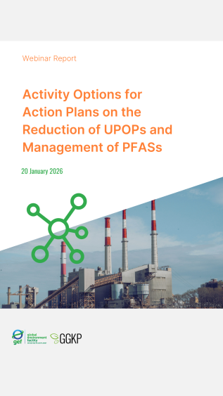 Webinar Report_ActionPlans2_2026Jan