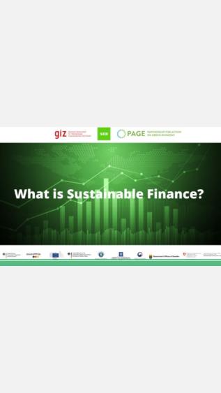 What is sustainable finance_UNITAR, GIZ, PAGE.JPG