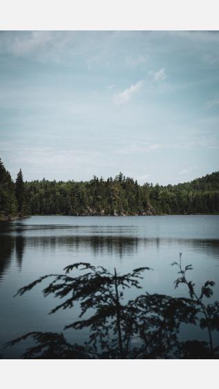 Photo of North American lake and trees by Thomas Lardeau on Unsplash