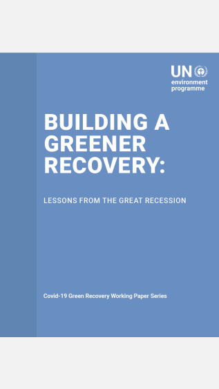 Building a Greener Recovery_ Lessons from the great recession_UNEP