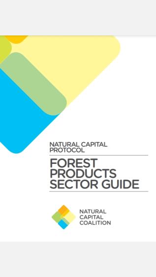 Forest Products Sector Guide_natural capital coalition.jpg